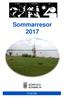 Sommarresor Fritid LSS