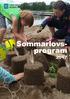 Sommarlovs- program 2017