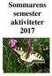 Sommarens semester aktiviteter 2017