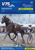 DERBYHELGEN 2017 JÄGERSRO LÖRDAG 2 SEPTEMBER BIRGER BENGTSSONS MINNE JÄGERSROS STORA TREÅRINGSPRIS FÖRSTA START V75-OMGÅNG 54 // 2017