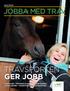 TRAVSPORTEN GER JOBB