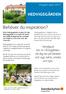 Behöver du inspiration?