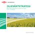 oljeväxtstrategi Marknadens effektivaste produkter mot ogräs i höst - och vårraps Solutions for the Growing World