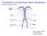 Trombektomi och stentning i bakre cirkulationen ANS Neurologiveckan Marcus Ohlsson, MD PHD Neurointervention Karolinska Sjukhuset