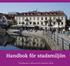 Handbok för stadsmiljön. Förtydligande av riktlinjerna för stadsmiljön i Borås