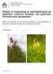 Effekter av restaurering av naturbetesmarker på gökärtens (Lathyrus linifolius) och gullvivans (Primula veris) reproduktion