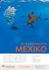 MEXIKO 2018 EXPEDITION. Snorkla med segelfisk Dyk med tjurhaj Cenotes Långsträckta stränder Välsmakande matkultur Historiska Maya-ruiner