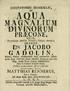 AQUA MAGNALIUM DIVINORPM. PRiECONE. Dn jacobo GADOLIN, COGITATIONES NONNULL/E, Ptiblice examinandas fiftere conflituit. Finland. JACOB MERCKELL.