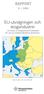 EU-utvidgningen och skogsindustrin