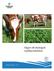 Vägen till ekologisk mjölkproduktion. Jordbruksinformation