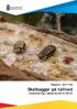 Rapport: 2017:06 Skalbaggar på tallved Inventering i Dalarna