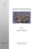 Uppföljning av Stinkpaddans (Bufo calamita) populationsstatus längs Bohuskusten år 2006