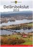 Delårsbokslut. ljusdal.se