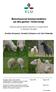 Betesbaserad lammproduktion på åtta gårdar i Västsverige