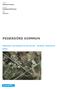 Kommun. Pedersöre kommun. Dokument. Detaljplanebeskrivning. Datum PEDERSÖRE KOMMUN ÄNDRING AV EDSEVÖ DETALJPLAN - EDSEVÖ TRAFIKOM- RÅDE