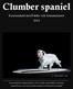 Clumber spaniel Rasstandard med bilder och kommentarer 2014