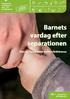 Barnets vardag efter separationen