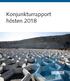 Konjunkturrapport hösten 2018