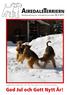 Medlemstidning för AiredaleTerrierGillet Nr Ett gäng Hofva s-hundar leker i snön, Thea, Tuva, Hugo och Tess. Foto: Martin Hofverberg