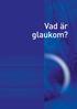 Vad är Glaukom? Kammarvatten i främre kammaren. Glaskropp Näthinna. Hornhinna. Lins. Regnbågshinna. Kammarvinkel. Synnerv