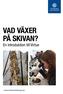 VAD VÄXER PÅ SKIVAN? En introduktion till Virtue