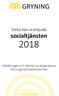 Detta kan vi erbjuda socialtjänsten