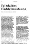 Fyledalens fladdermusfauna