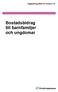 Vägledning 2004:10 Version 15. Bostadsbidrag till barnfamiljer och ungdomar