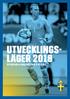 UtVecklingsläger POJKARiHALMSTAD 1-6 JULI