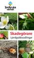 Skadegörare. i jordgubbsodlingar