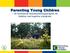 Parenting Young Children. ett hembaserat föräldrautbildningsprogram för föräldrar med kognitiva svårigheter