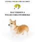 SVENSKA WELSH CORGI KLUBBEN RAS VERSION 4 WELSH CORGI PEMBROKE