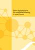 Bättre åtgärdsplaner för energieffektivisering. En guide för företag