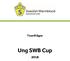 Teorifrågor. Ung SWB Cup