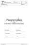 Programplan FVM (Framtidens vårdinformationsmiljö)