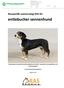 entlebucher sennenhund