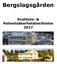 Bergslagsgården. Kvalitets- & Patientsäkerhetsberättelse 2017