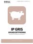 IP STANDARD VERSION 2016:1 GILTIG FRÅN IP GRIS GRUNDCERTIFIERING. Standard för kvalitetssäkrad grisproduktion.