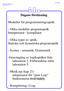 Dagens föreläsning. Modeller för programmeringsspråk. - Olika modeller programspråk Interpretator - kompilator. - Syntax - semantik.