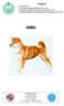 Grupp 5 SHIBA Nordisk Kennel Union