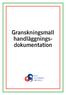 Granskningsmall handläggningsdokumentation