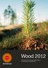 Wood Wood 2012 är en satsning för effektivisering och utveckling av Skoghalls Bruk.