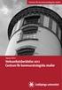 Rapport 2013:4 Verksamhetsberättelse 2012 Centrum för kommunstrategiska studier