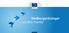 Medborgardialoger om EU:s framtid