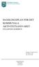 HANDLINGSPLAN FÖR DET KOMMUNALA AKTIVITETSANSVARET
