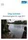 RAPPORT DNR: Ung sommar. Sommarprogram för unga 2017