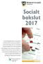 Socialt bokslut 2017