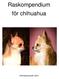 Raskompendium för chihuahua