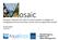 Principles of Mosaic tool: how it is used in practice, in adaption to changing environment and how it can be used to support Blue Growth