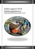 Delårsrapport 2014 Räddningstjänsten